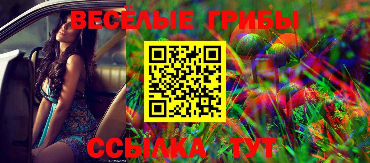 Псилоцибиновые грибы прущие грибы  Вход с VPN  Верхняя Салда 